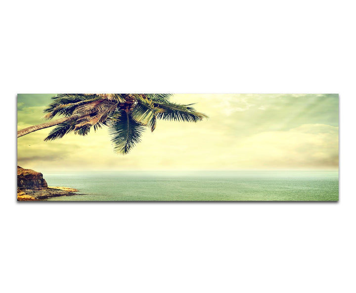 Paul Sinus Art Panoramabild auf Leinwand und Keilrahmen 120x40cm Strand Meer Palme Felsen Vintage