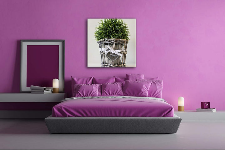 deyoli Schilf im Blumentopf im Format: 70x70 als Leinwandbild, Motiv fertig gerahmt auf Echtholzrahm