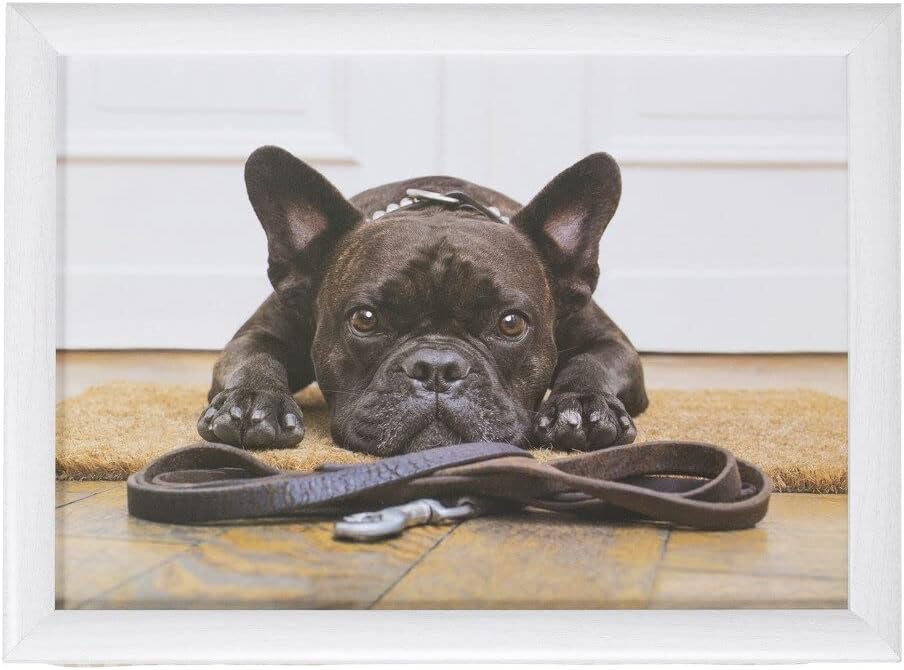 Mars & More - Knietablett, Tablett - französische Bulldogge - Masse (LxBXH): 43 x 33 x 7 cm