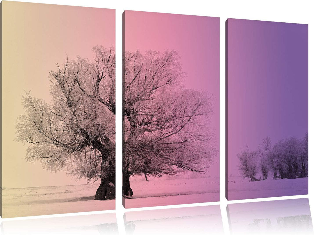 verschneite Bäume im Nebel schwarz/weiss 3-Teiler Leinwandbild 120x80 Bild auf Leinwand, XXL riesige