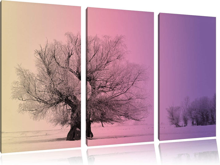 verschneite Bäume im Nebel schwarz/weiss 3-Teiler Leinwandbild 120x80 Bild auf Leinwand, XXL riesige