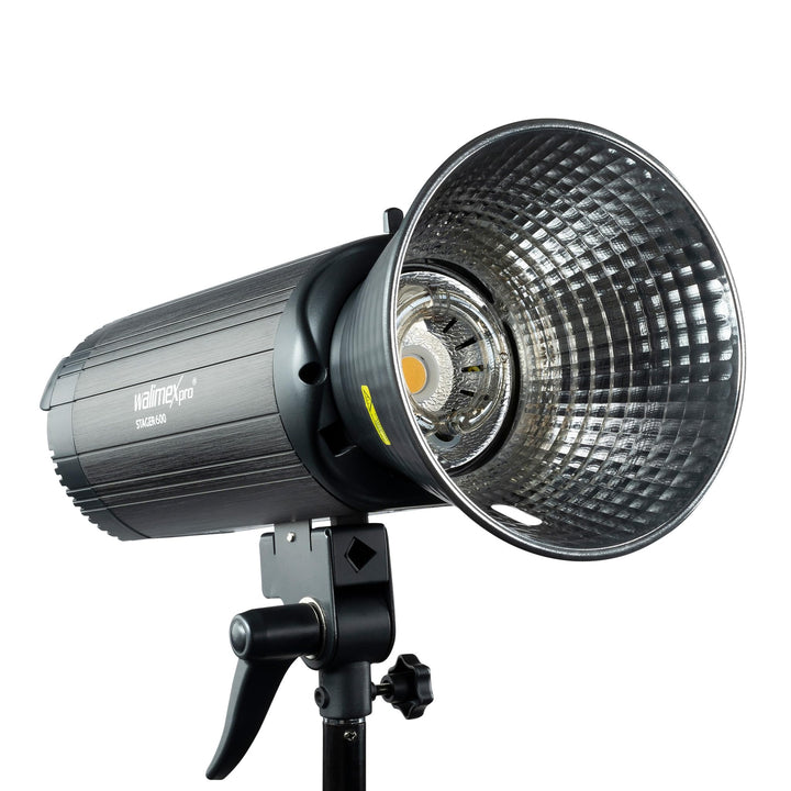 Walimex pro Campaigner 600 HS Studioblitz mit Integriertem 2.4 GHz Empfänger, 600 Ws, Schnelle Abbre