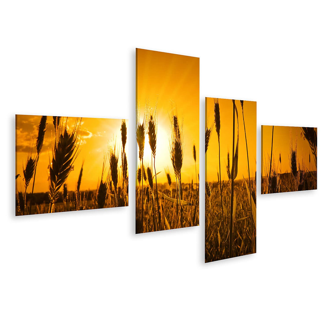 islandburner Bild auf Leinwand sonne landwirtschaft hintergrund brot getreide farbe mais dämmerung o