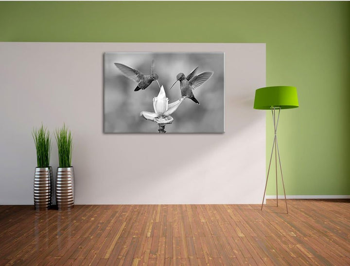 Pixxprint Kolibris in den Tropen als Leinwandbild/Grösse: 100x70 / Wandbild/Kunstdruck/fertig bespan