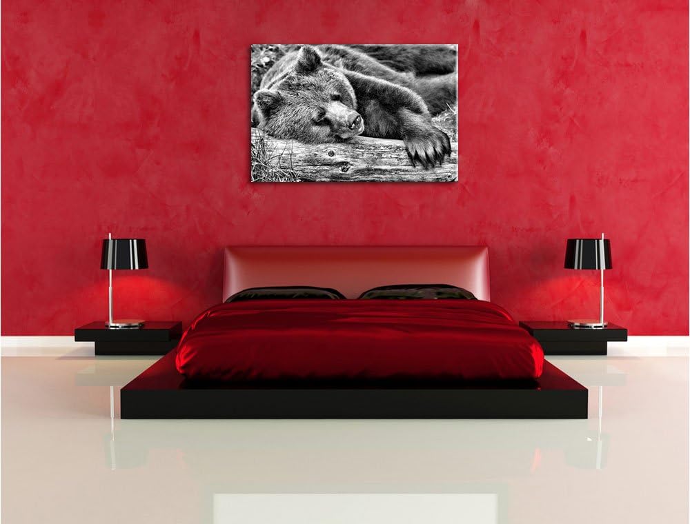 Pixxprint Bär schläft auf Baumstamm / 100x70cm Leinwandbild bespannt auf Holzrahmen/Wandbild Kunstdr