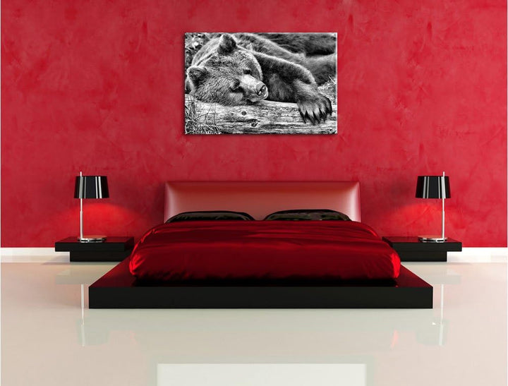 Pixxprint Bär schläft auf Baumstamm / 100x70cm Leinwandbild bespannt auf Holzrahmen/Wandbild Kunstdr
