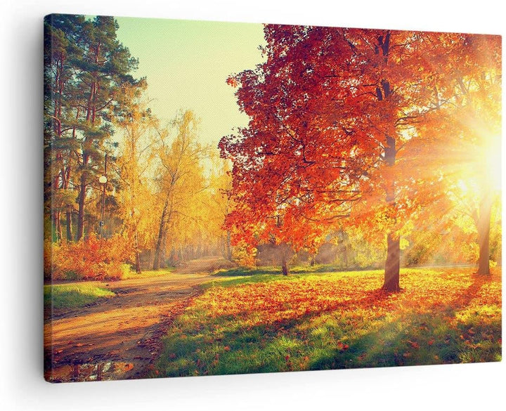 Bilder auf Leinwand Park Herbst Baum Leinwandbild mit Rahmen 70x50cm Wandbilder Dekoration Wohnzimme