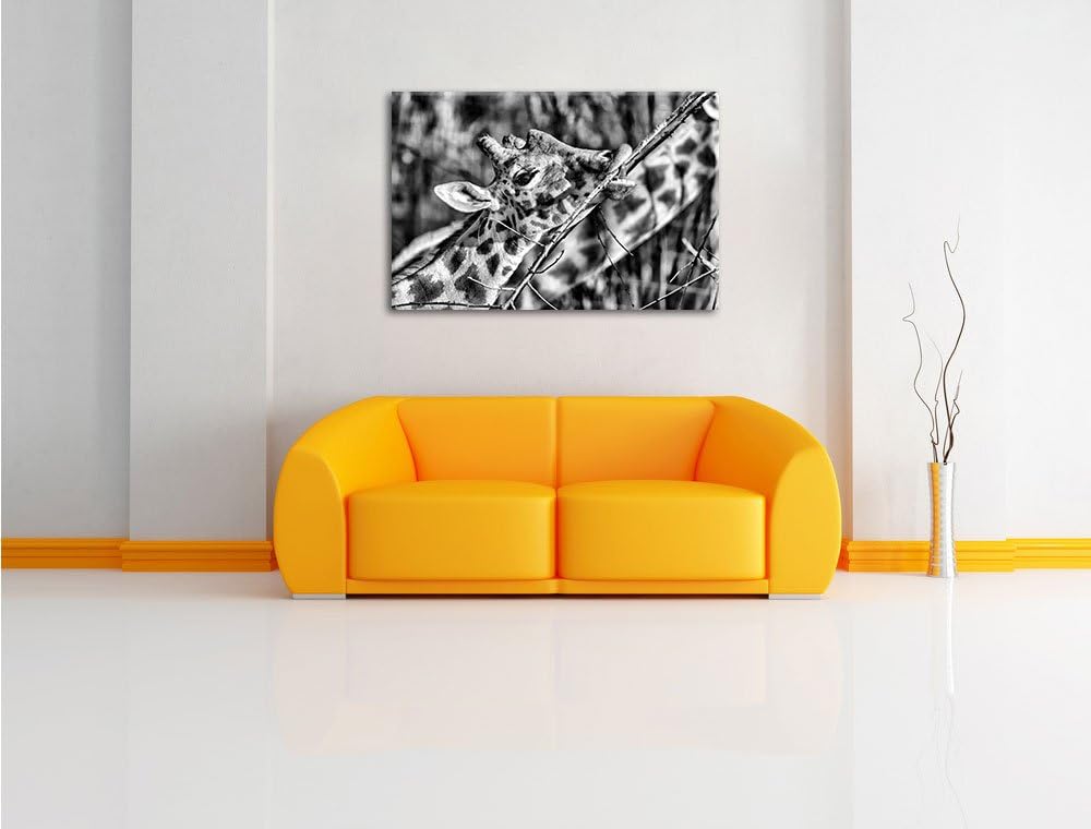 Pixxprint fressende Giraffe/Format: 100x70cm / Leinwandbild fertig bespannt Wandbild Kunstdruck, 100