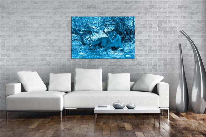 deyoli ruhige Löwin Format 80x60 Effekt: Monocrome Blau als Leinwandbild, Motiv fertig gerahmt auf E