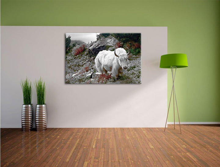 Pixxprint Schönes Yak Himalaya als Leinwandbild/Grösse: 100x70 / Wandbild/Kunstdruck/fertig bespannt