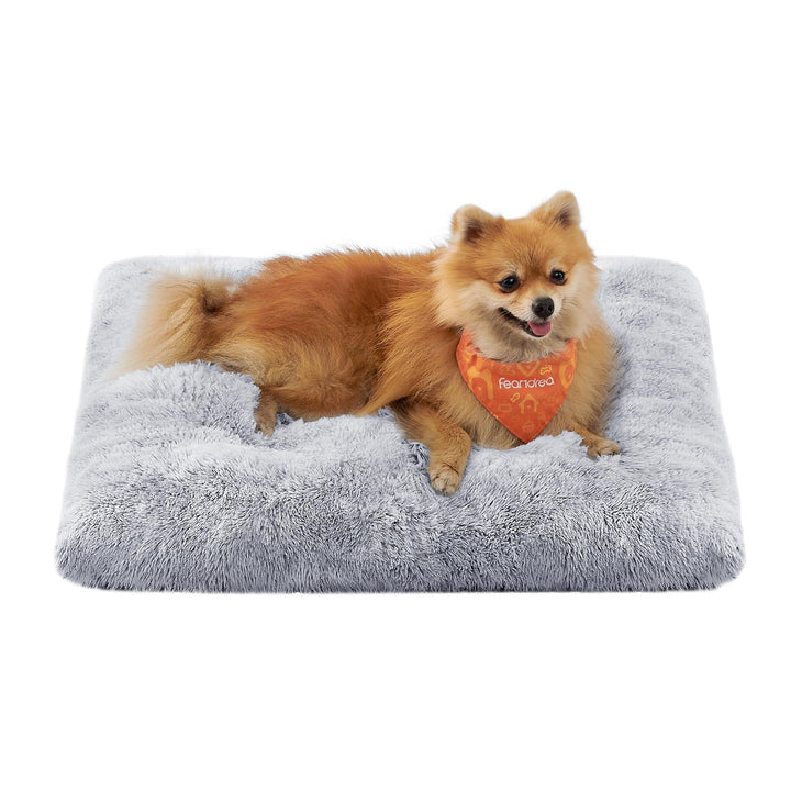 Feandrea Hundebett, Hundekissen, Flauschige Hundematte, Langer Plüsch, 65 x 45 cm, weiche Polsterung