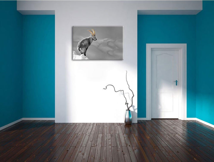 schöner Steinbock im Schnee schwarz/weiss Format: 100x70 auf Leinwand, XXL riesige Bilder fertig ger