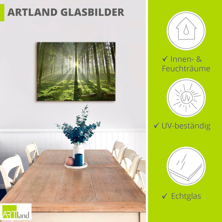 Glasbilder Wandbild Glas Bild einteilig 60x80 cm Hochformat Natur Wald Landschaft Sonne Bäume Moos F