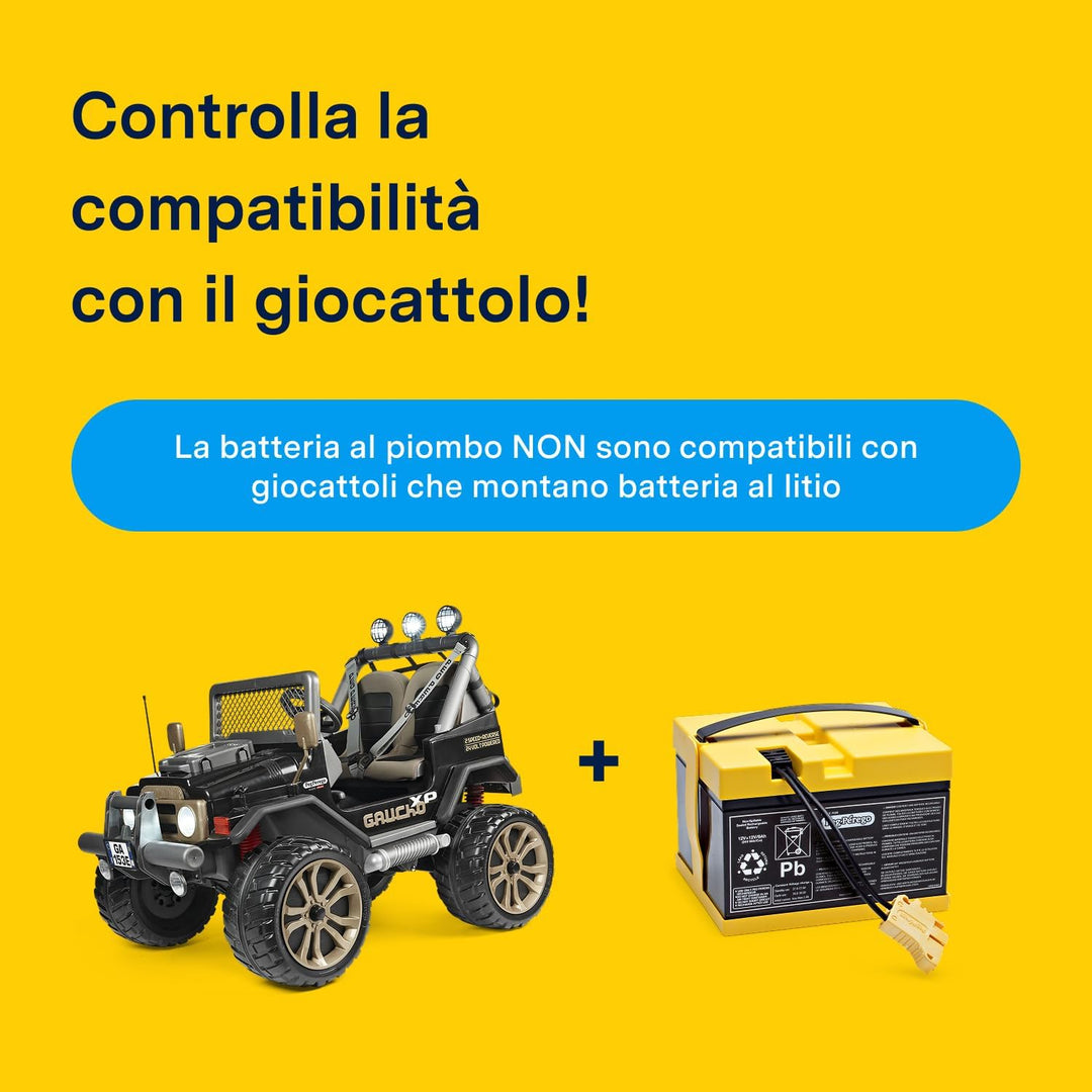 Peg Perego 24 V, 8 Ah.