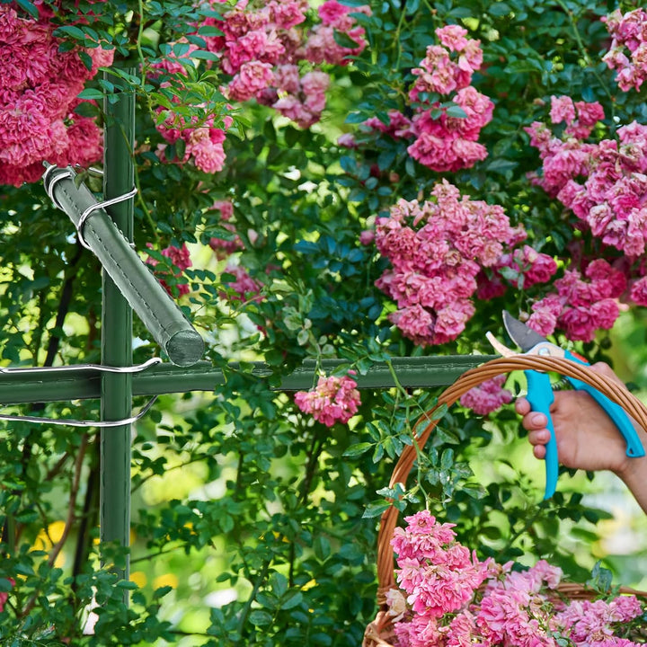 50 Stück Tonkinklammern, Pflanzenspalier Verbindungsschnallen, Bambusklammern, Garten-Rankhilfen Pfl