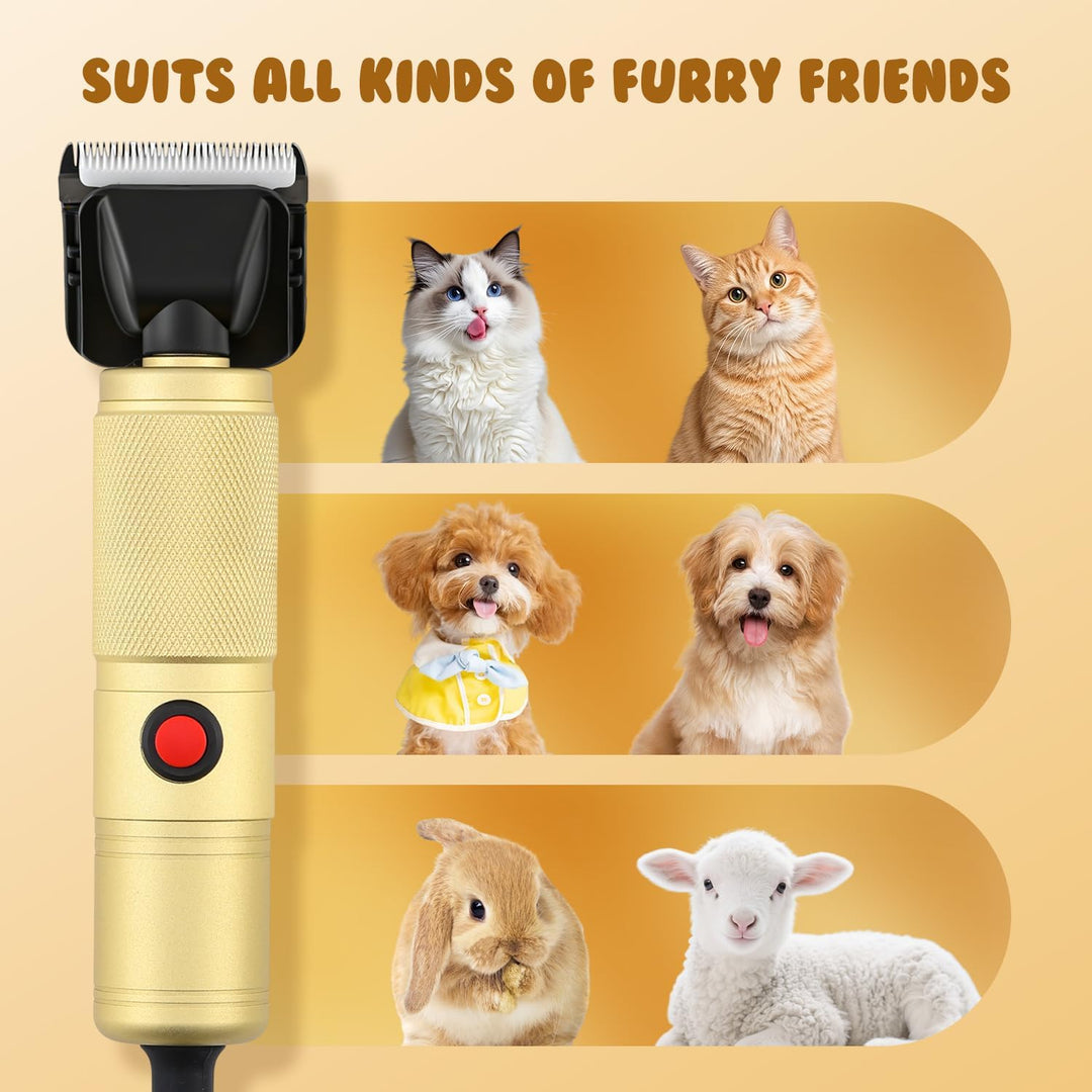 CGOLDENWALL Leise Hundeschermaschine Profi 280W, 2000-6000U/min Stufenlose Geschw.,, Gold