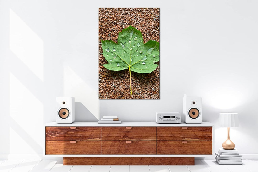 deyoli grünes Ahornblatt mit Tropfen im Format: 80x60 als Leinwandbild, Motiv fertig gerahmt auf Ech