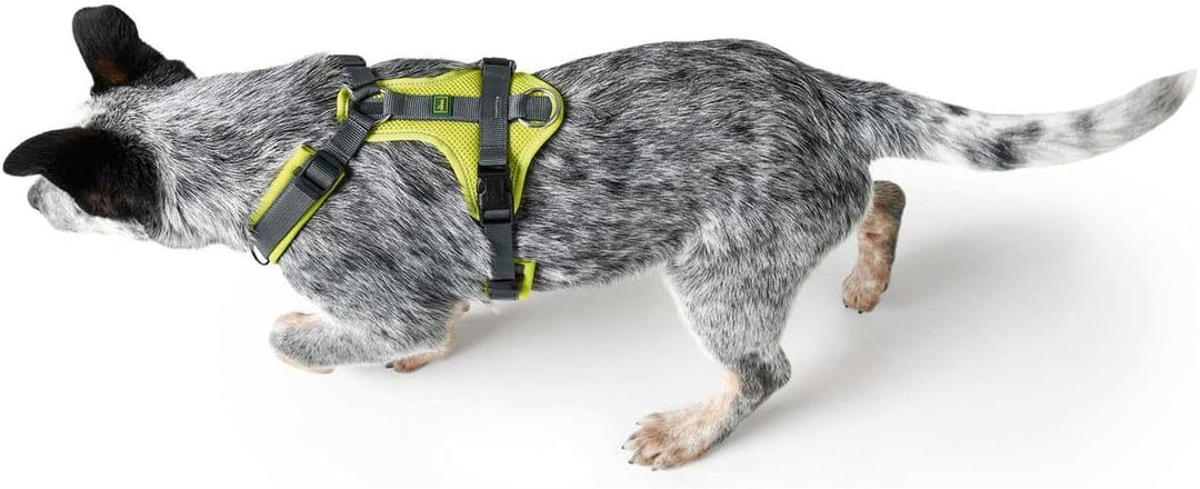 HUNTER Geschirr Maldon 47-69/S-M limette/grau S-M, limette/grau S-M
