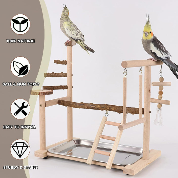 Wellensittich Spielplatz Vogel-Spielplatz mit Spielzeug Leiter Erklimmen Schaukel und Tablett für Ny