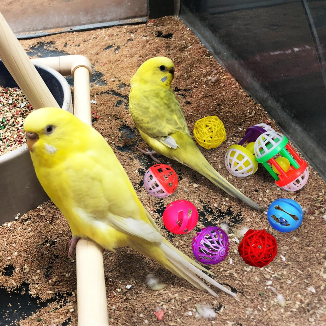 12 StüCk Vogelspielzeug FutterbäLle Mit GlöCkchen FüR Papageien Sittiche Und Finken Kauspielzeug Und