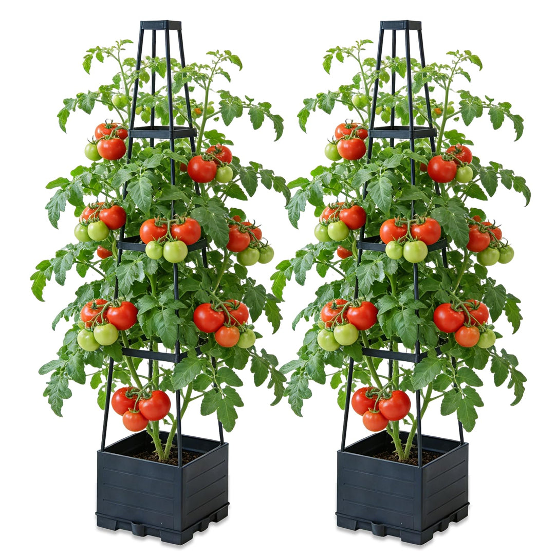 BRGD 2 Pack Selbstbewässerung Tomatentopf mit Rankhilfe, Pflanzkübel Pflanzenstütze für den Anbau vo