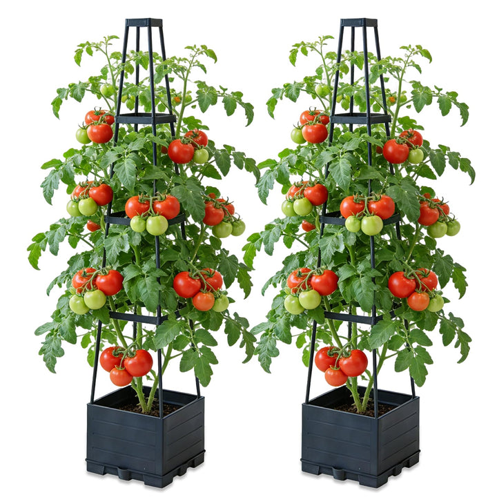BRGD 2 Pack Selbstbewässerung Tomatentopf mit Rankhilfe, Pflanzkübel Pflanzenstütze für den Anbau vo