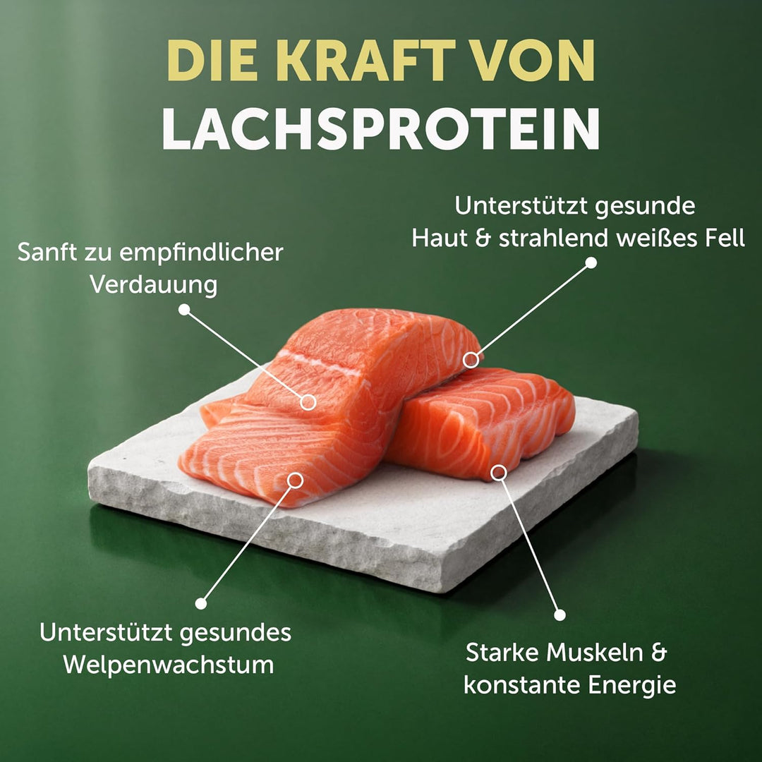 Nature's Protection Superior Care Starter Trockenfutter für Hunde, Getreidefrei, Perfekt für Trächti