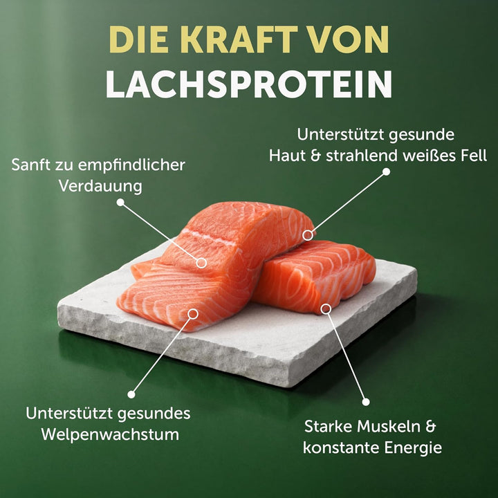 Nature's Protection Superior Care Starter Trockenfutter für Hunde, Getreidefrei, Perfekt für Trächti