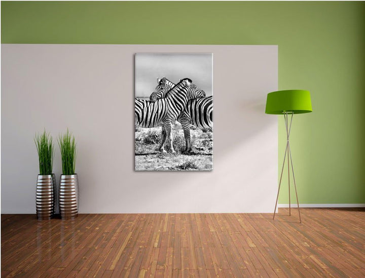 Pixxprint Schmusende Zebras als Leinwandbild/Grösse: 100x70 cm/Wandbild/Kunstdruck/fertig bespannt,