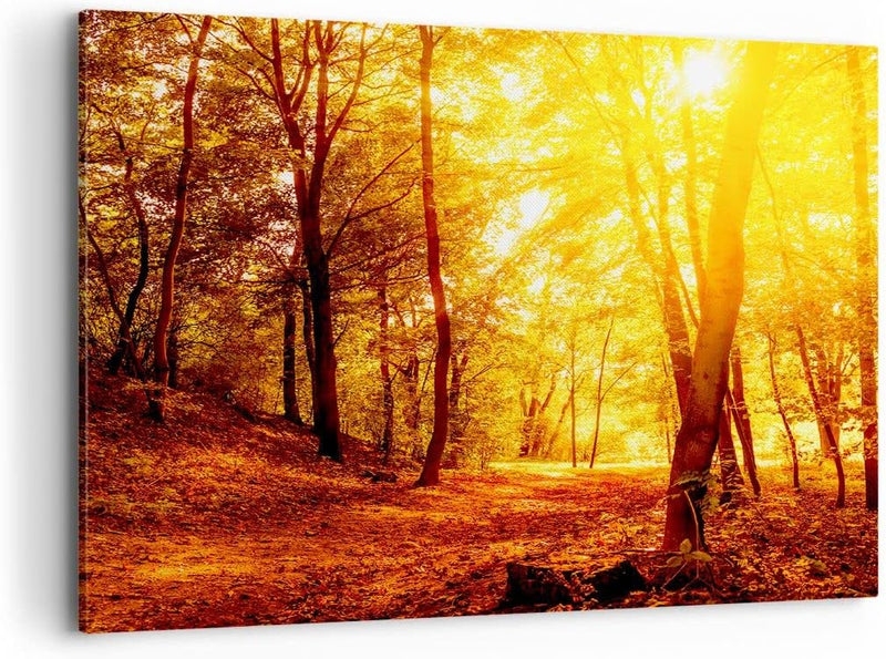 Bilder auf Leinwand 100x70cm Leinwandbild mit Rahmen Wald Baum Natur Gross Wanddeko Bild Schlafzimme