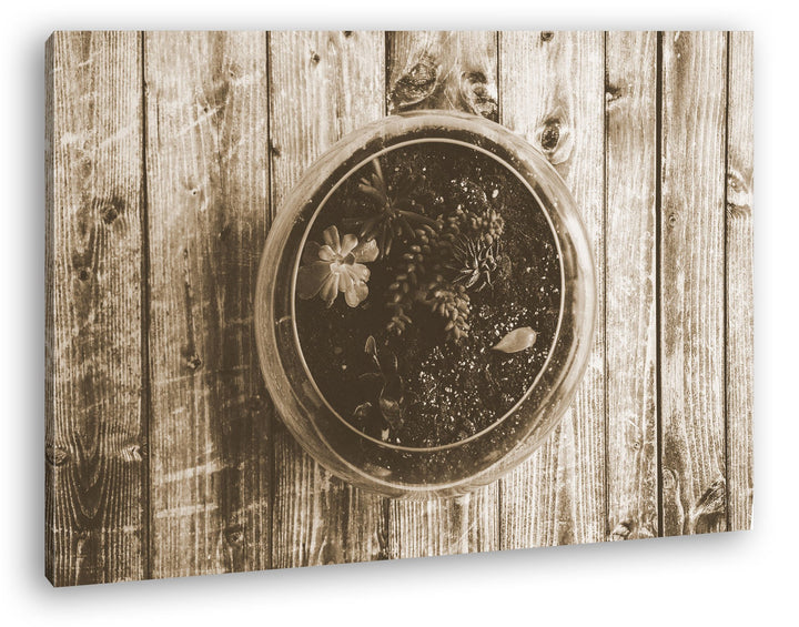 deyoli kleine Hauspflanzen Format: 100x70 Effekt: Sepia als Leinwand, Motiv fertig gerahmt auf Echth