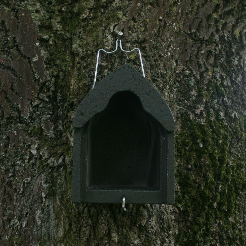 Nistkasten Holzbeton für Stare, Gartenrotschwänze &amp; Mittelspecht | Brutkasten für Vögel Wetterfest |