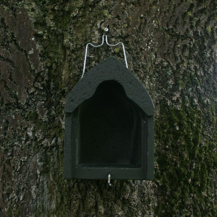 Nistkasten Holzbeton für Stare, Gartenrotschwänze &amp; Mittelspecht | Brutkasten für Vögel Wetterfest |