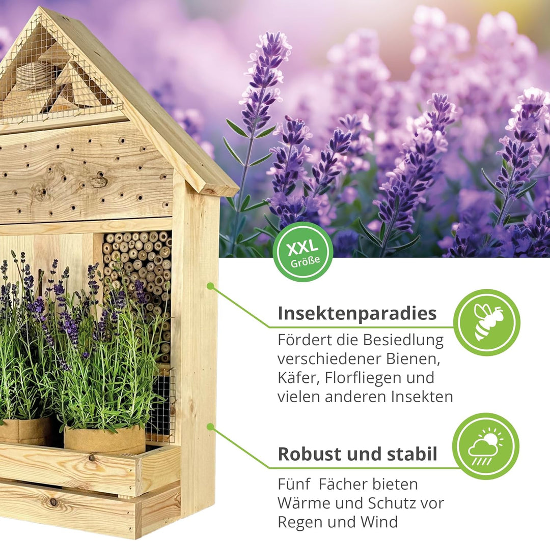 GARTENETAGE Stehendes Insektenhotel XXL mit Pflanzenoase Lavendel - inkl. Anzuchtset/Naturbelassenes