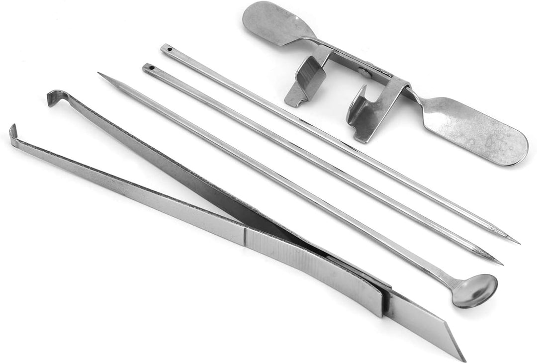 5 Stück Capon Knife Tool Edelstahl Kastration Huhn Tool Kit Geflügelfarmen Veterinärinstrument für H