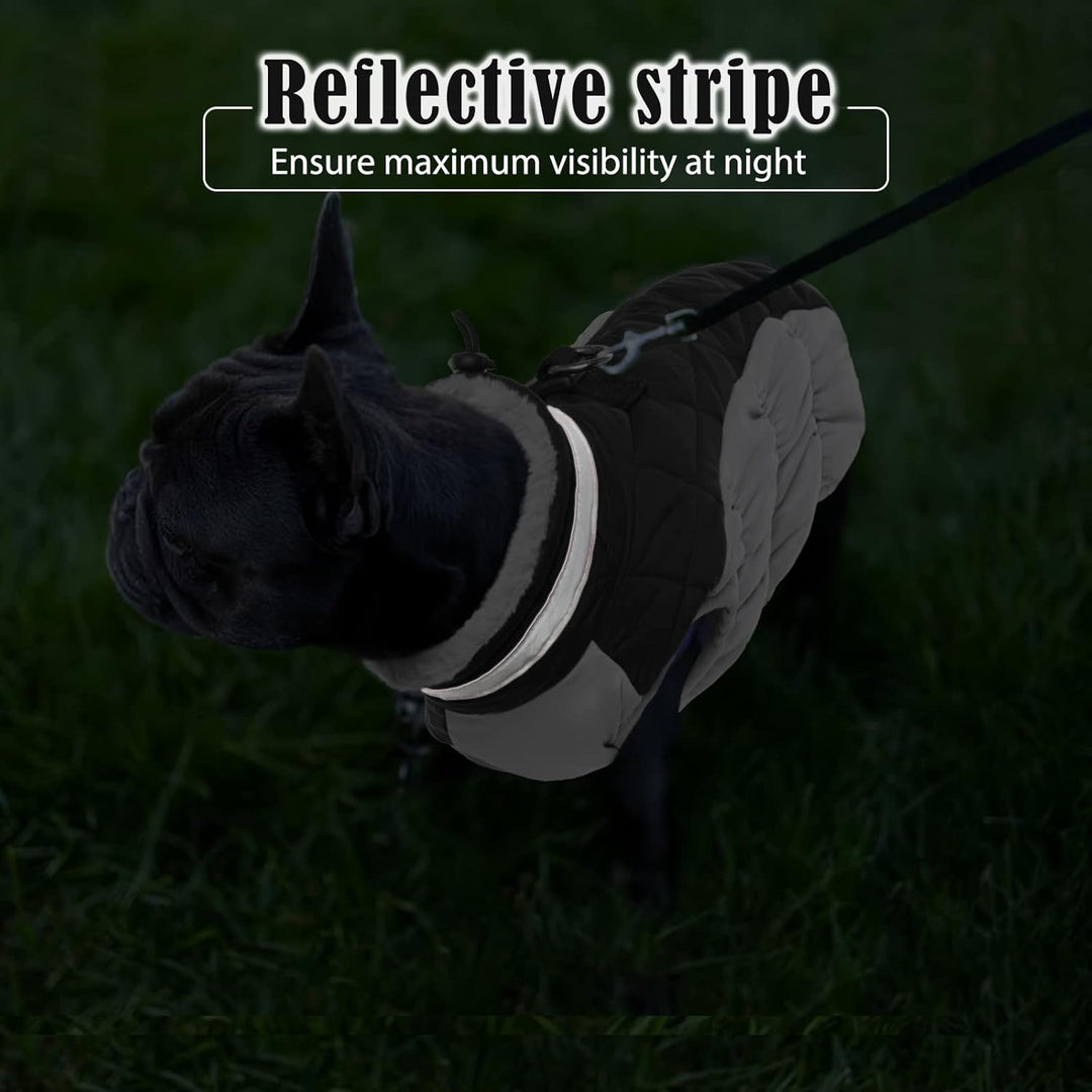 Hundemantel für Kleine Mittelgrosse Grosse Hunde, Hundejacke Warme Hundeweste Wintermantel Hund Wass