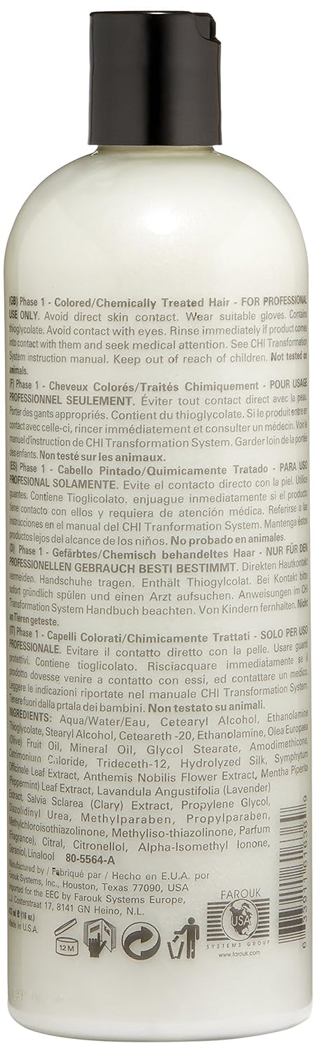 CHI Transformation System Phase 1 blau
