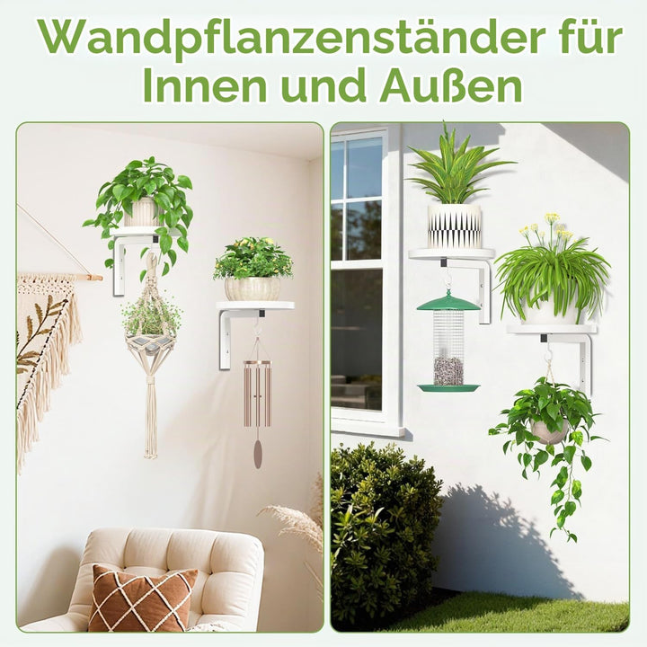 iDavosic.ly Wand Pflanzenhalter Set aus 2 Stück, Metall Blumenständer mit 2 Haken, Wandmontage Blume
