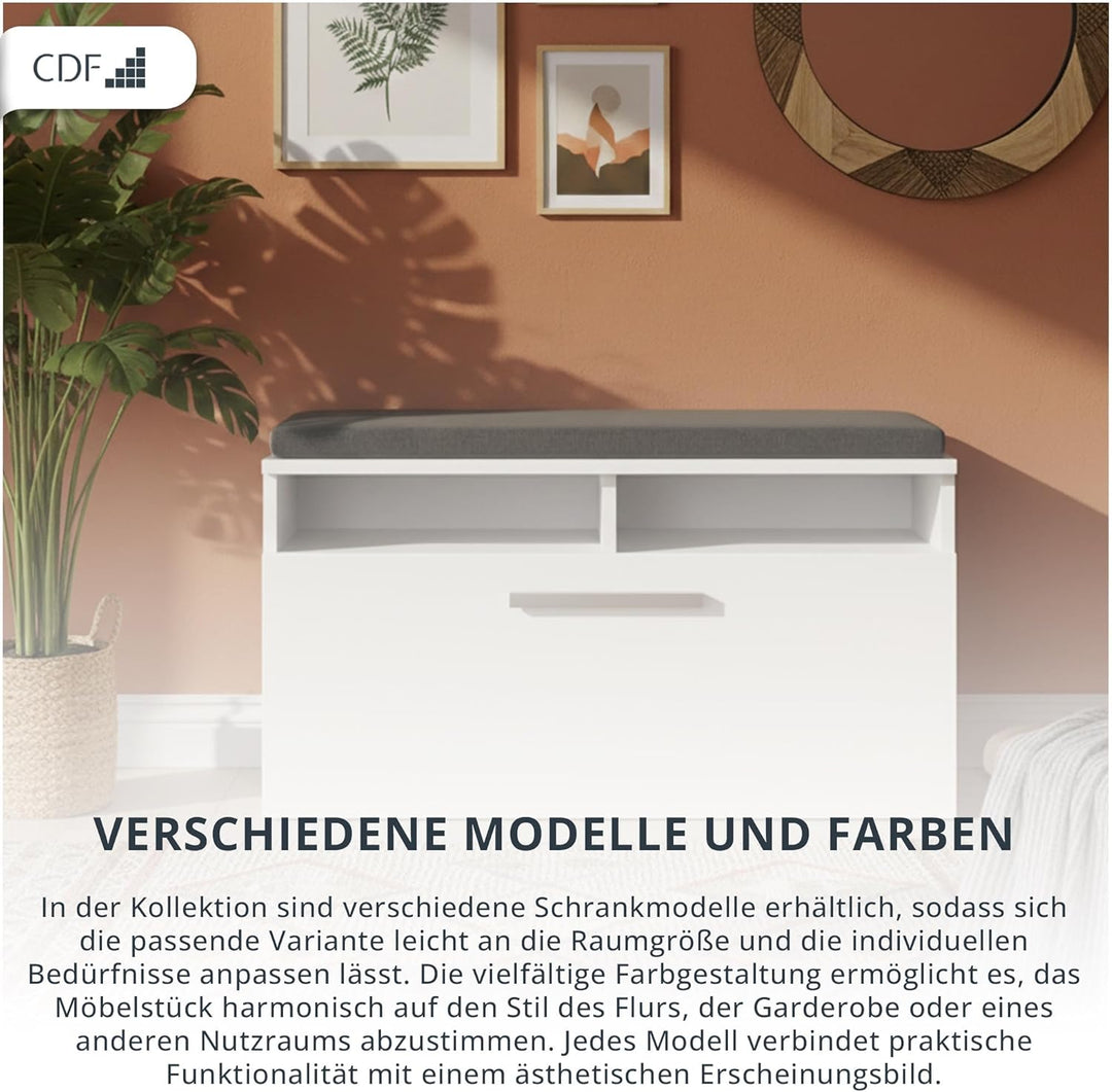 CDF Schuhschrank mit Sitzbank Sitzkissen Flurbank Schuhkommode Garderobenbank mit Kipptür 6 Fächer F