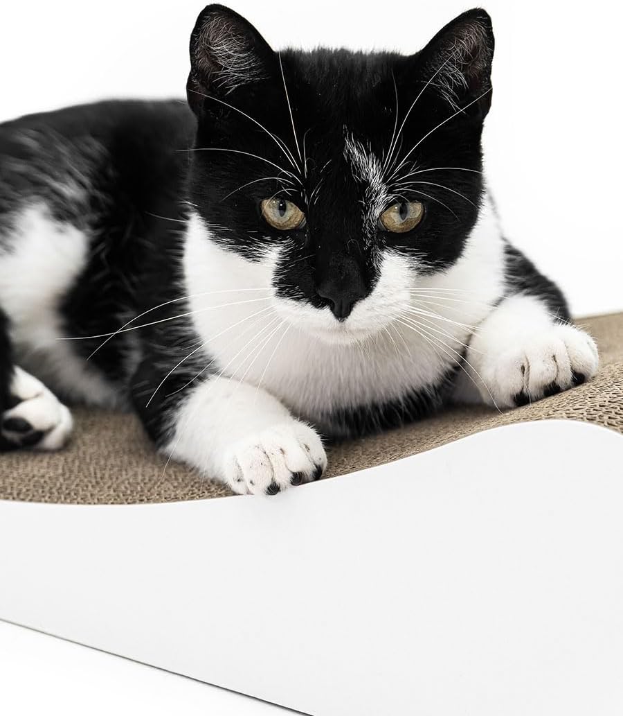 Petrebels Kratzpappe Lily 75, Katzen Kratzbrett aus sehr stabilem Karton, Kratzkarton 75 x 31 x 13 c