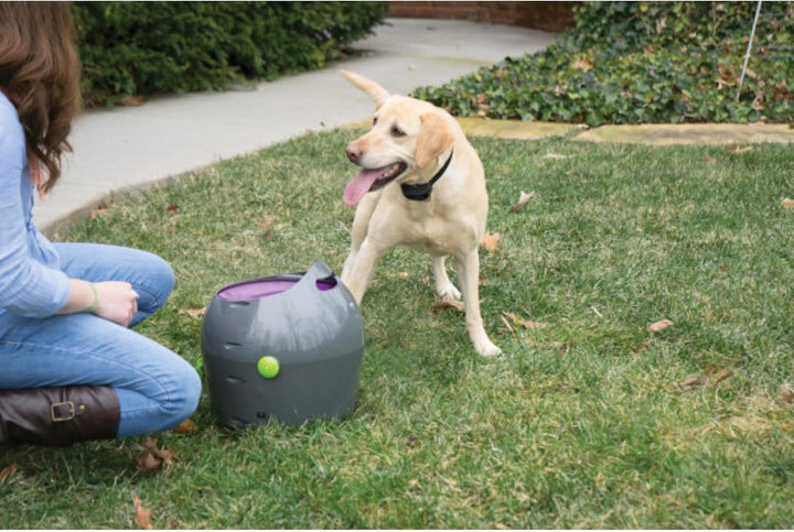 PetSafe Automatisches Hundespielzeug, interaktiver Tennisballwerfer für Hunde, wasserdicht, 1 Stück