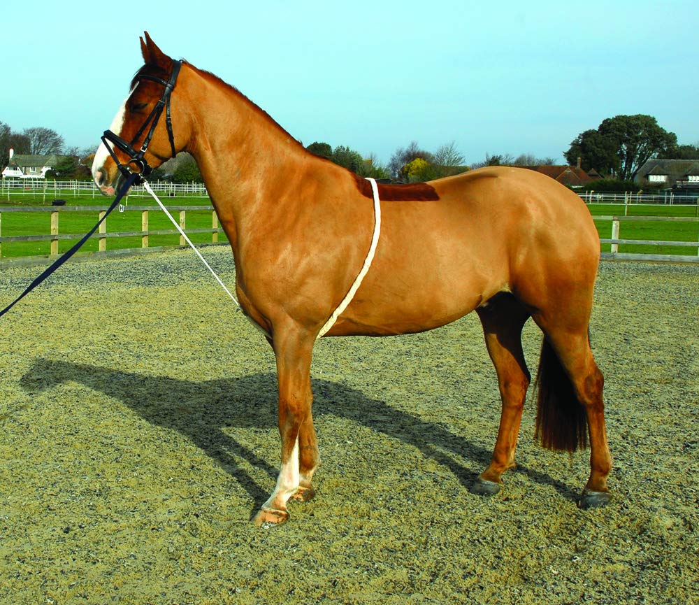 Rhinegold Soft Longierhilfe