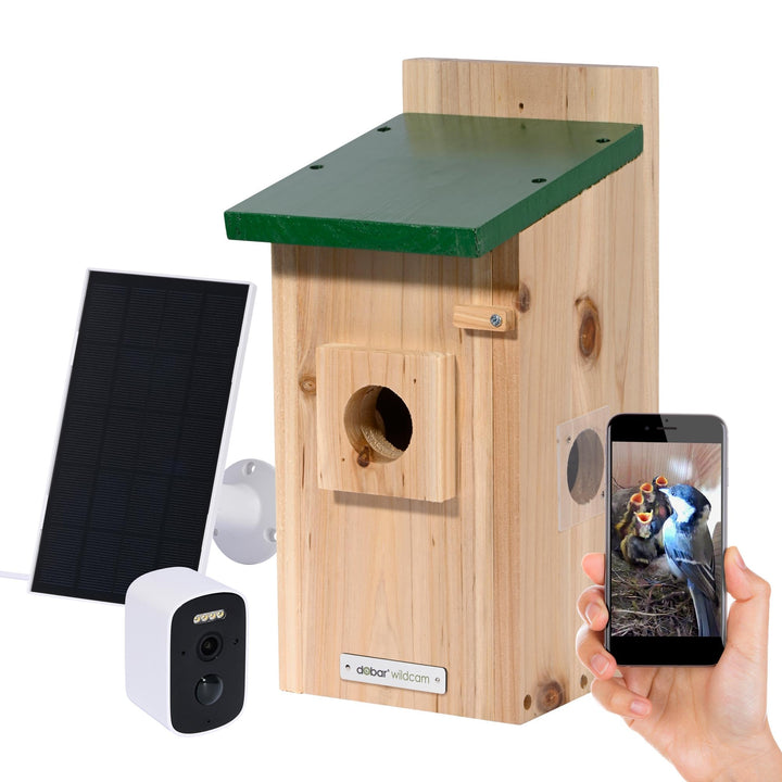 Luxus-VOGELHAUS Nistkasten Eazy mit WiFi Kamera und Solar Panel - Vogelbeobachtung mit Nisthilfe aus