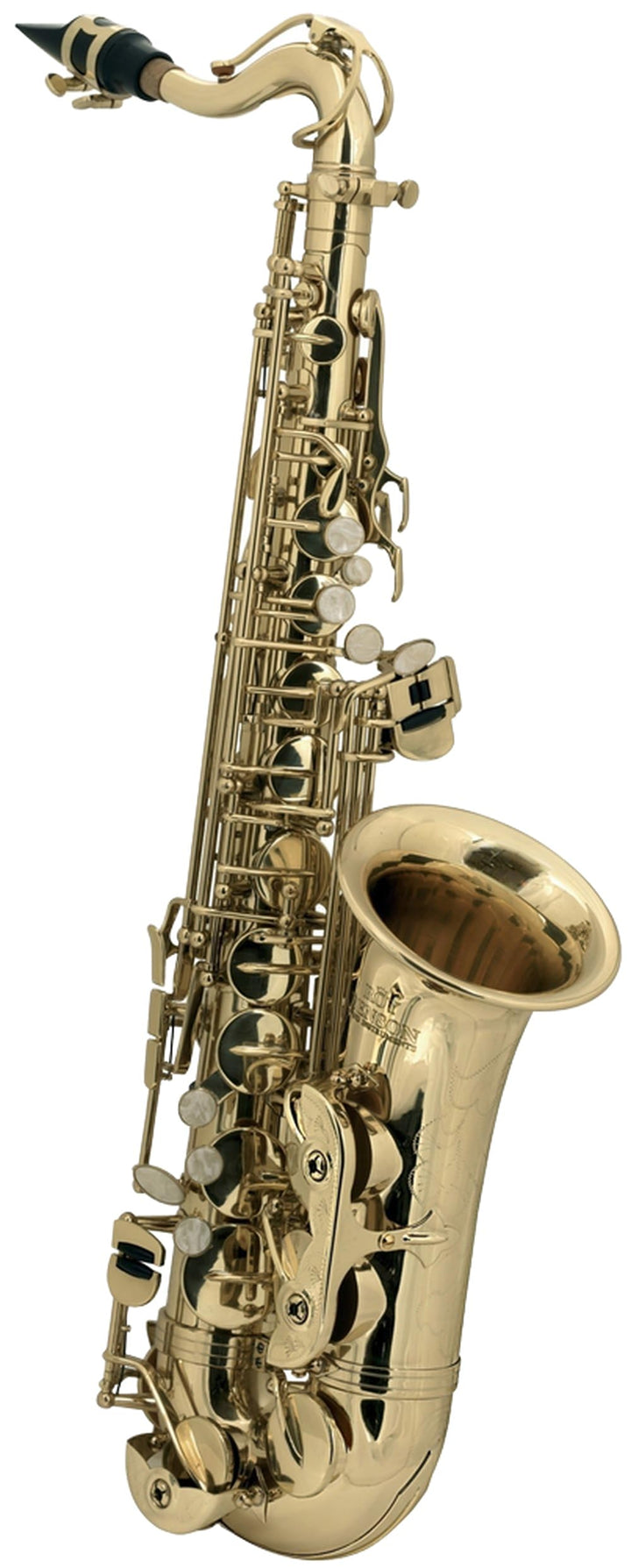 Roy Benson Kinder Eb-Alt Saxophon MOD.AS-201 lackiert, inkl. leichtem Rechtecketui, AS-201