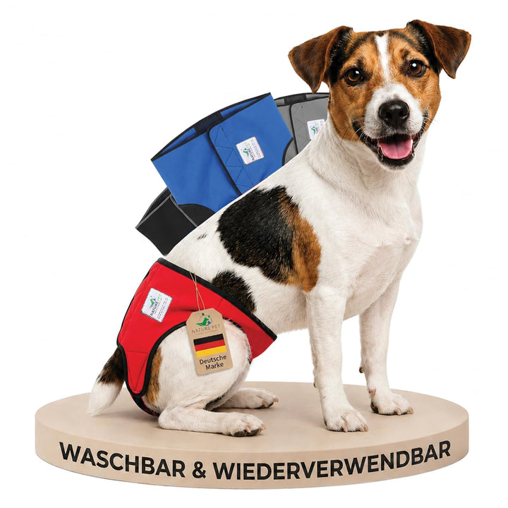 Läufigkeitshose für Hündinnen 2.0 - Hundewindeln aus hochwertigem perforiertem Neopren für einen opt