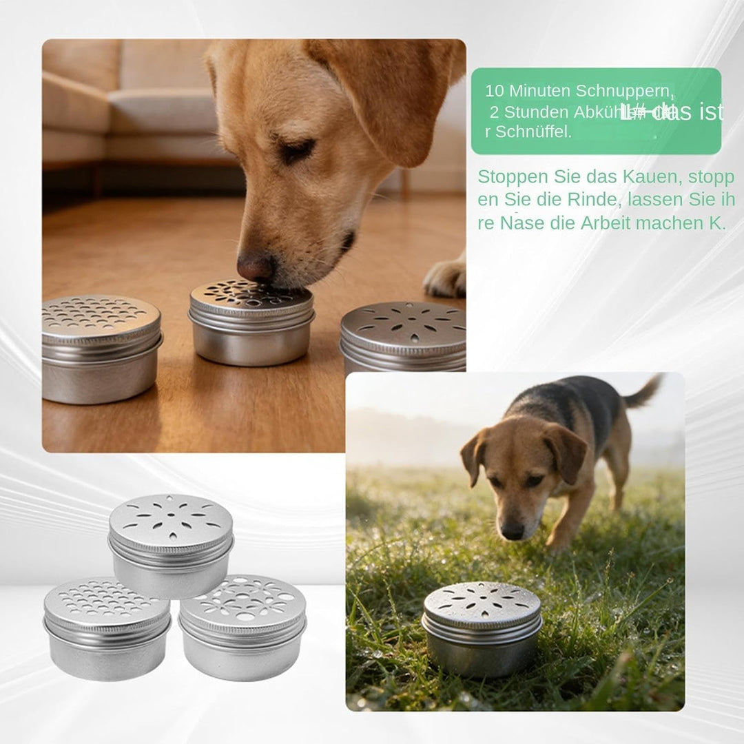 Scent Kit, Metal Training Tins, 2.8x2.8x1.34 Inches Scent Work Containers with Secure Seal Design, S