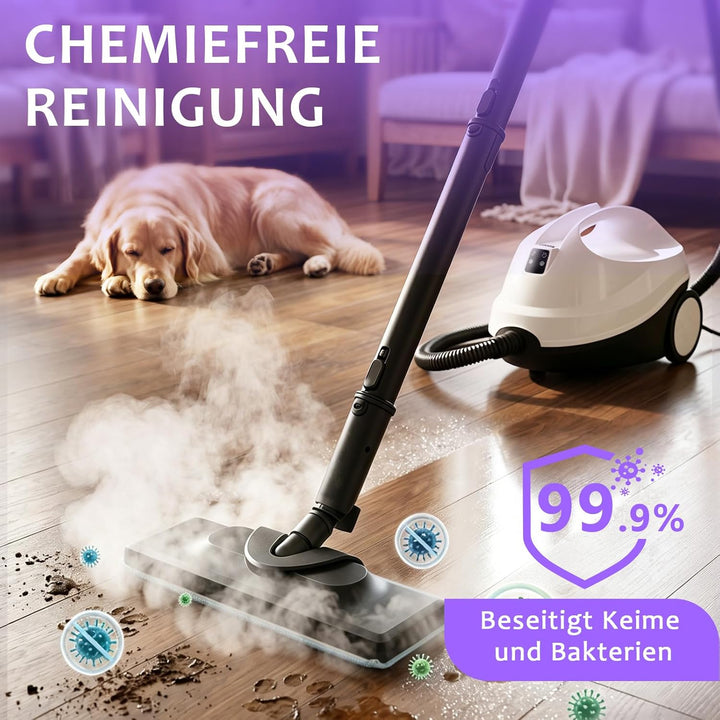 Dampfreiniger, tragbarer Dampfreiniger für den Haushalt, 120 °C Hochtemperaturdampf mit 20 Zubehörte
