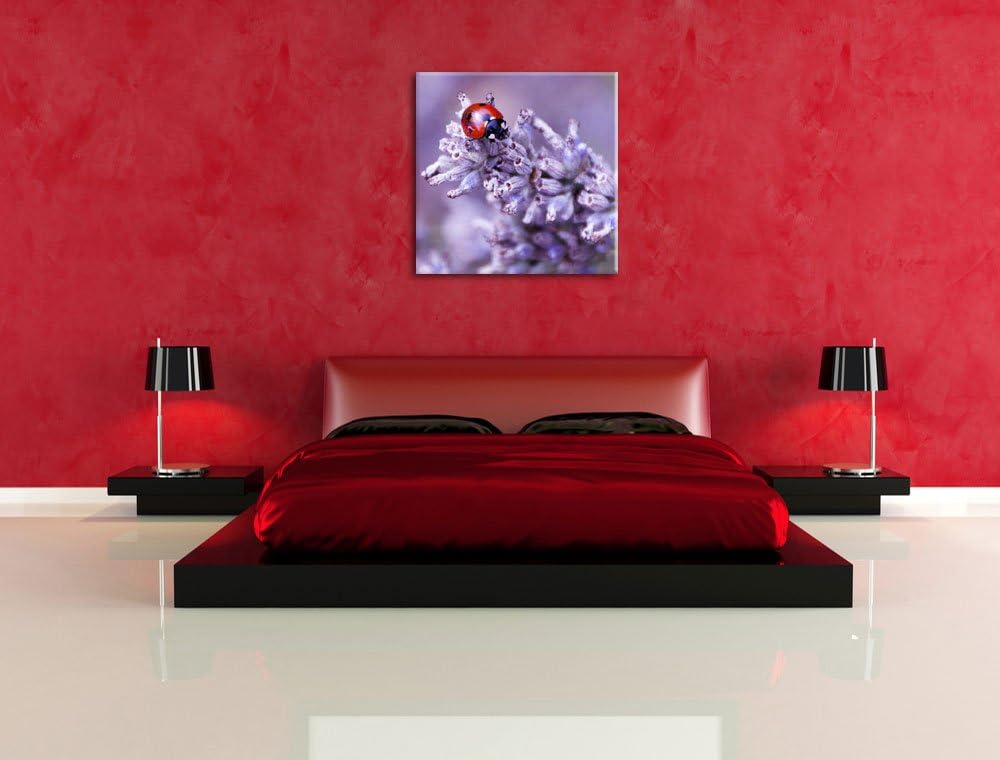 Pixxprint Kleiner Marienkäfer auf Lavendel als Leinwandbild/Grösse: 70x70 cm/Wandbild/Kunstdruck/fer
