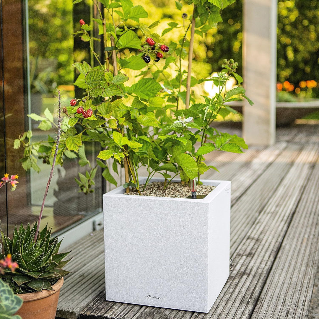 Lechuza Canto Stone 30 Low Komplettset quarzweiss 30x30x30 cm Quarzweiss, 30x30x30 cm Quarzweiss