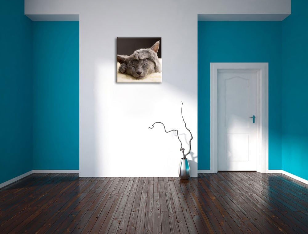 Pixxprint Süsses Kätzchen, Format: 70x70 auf Leinwand, XXL riesige Bilder fertig gerahmt mit Keilrah